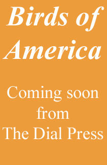 Birds of America, coming soon