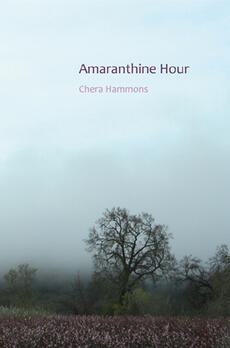 Amaranthine Hour Amaranthine Hour