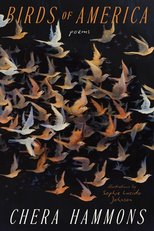 Birds of America Birds of America, coming soon